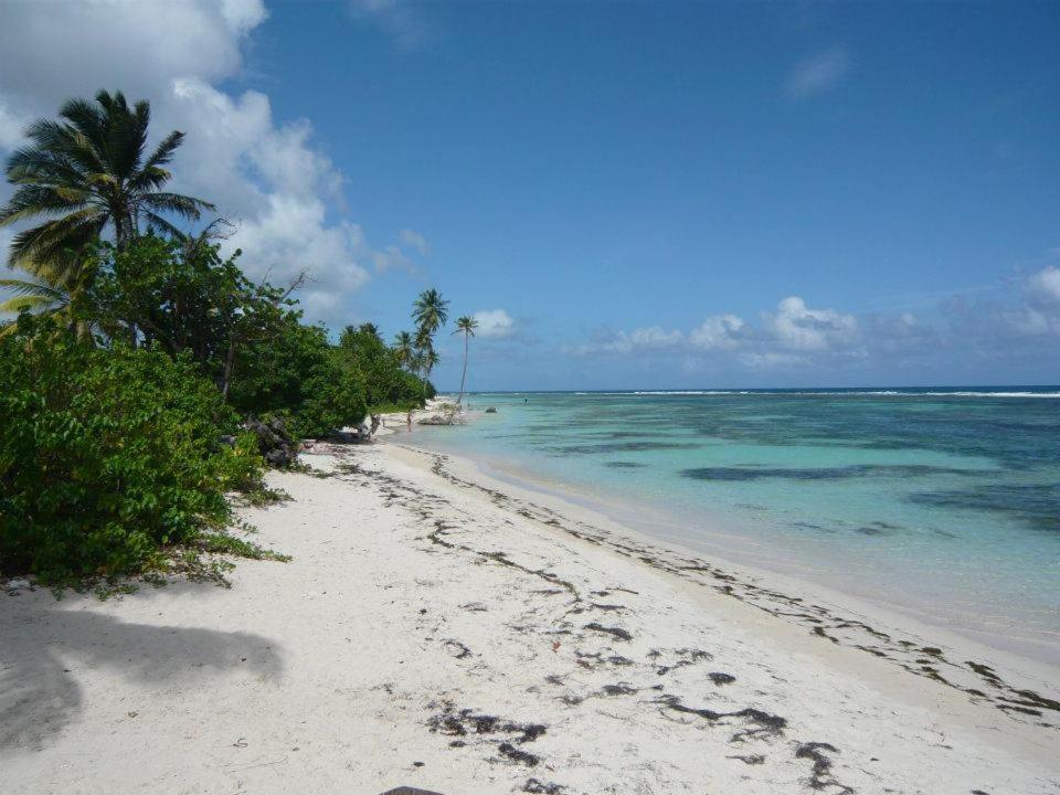 Alizes Bungalows Sainte-Anne  Esterno foto