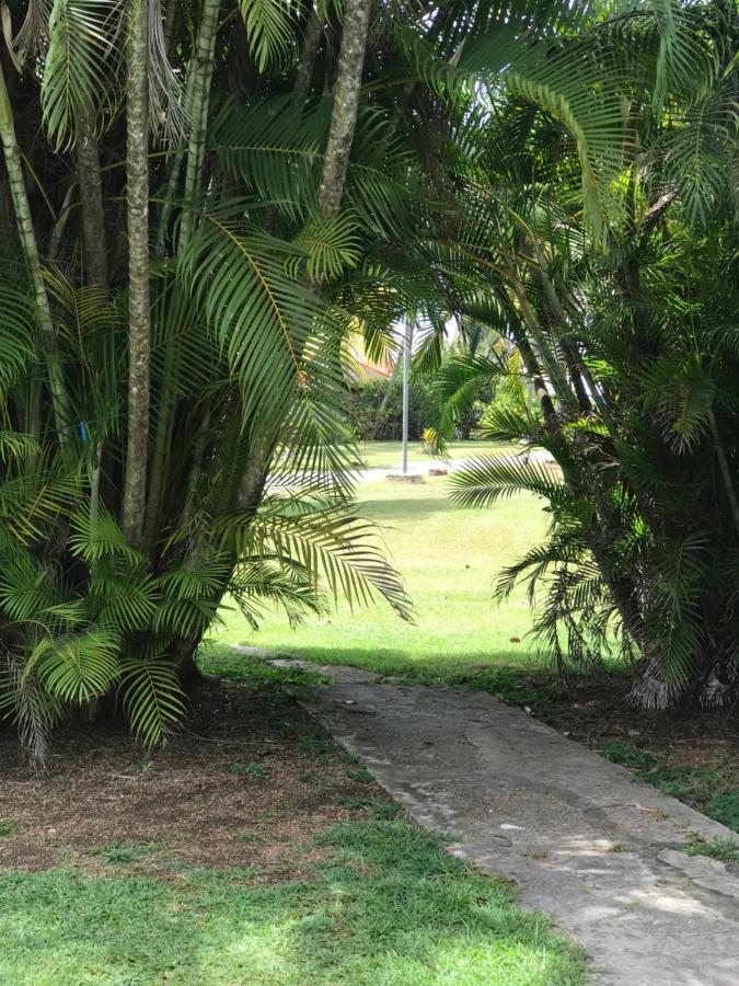 Alizes Bungalows Sainte-Anne  Esterno foto