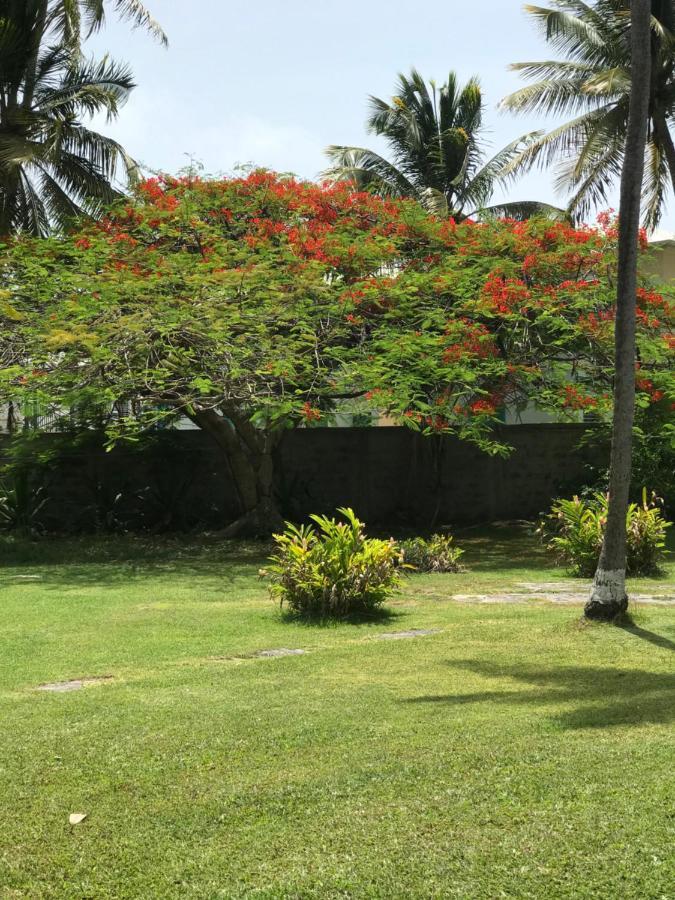 Alizes Bungalows Sainte-Anne  Esterno foto