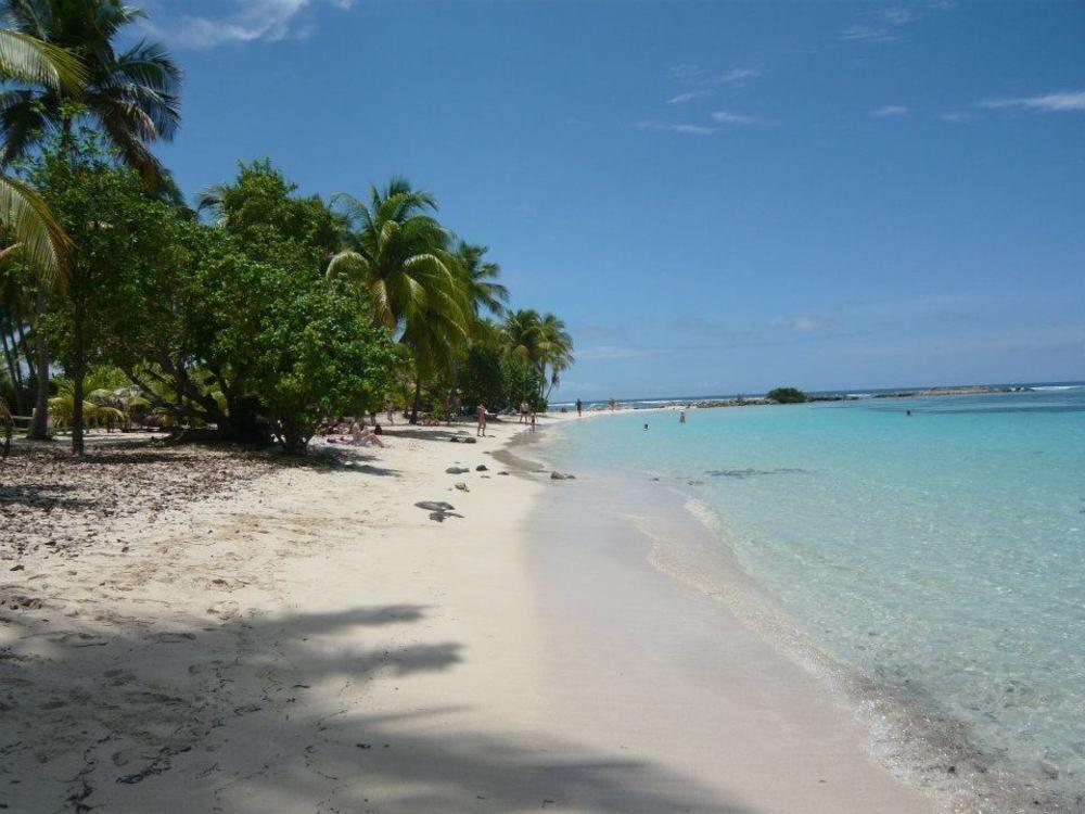 Alizes Bungalows Sainte-Anne  Esterno foto